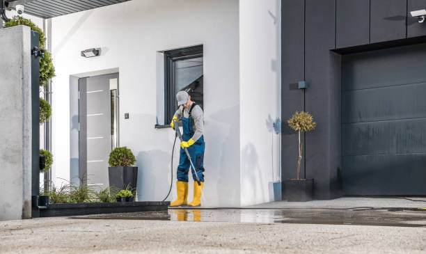 Best Driveway Pressure Washing  in Los Osos, CA